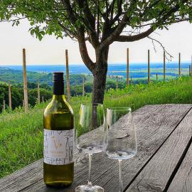 Udobna hiša med vinogradi blizu Vinarium LEND - Comfortable Vineyard House near Vinarium Tower LEND, hotel a Lendava