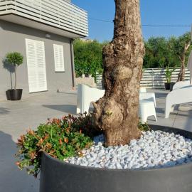 Grancara house