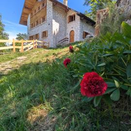 Viesnīca Chalet Peter Folgarijā