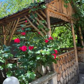 Rob Guest House