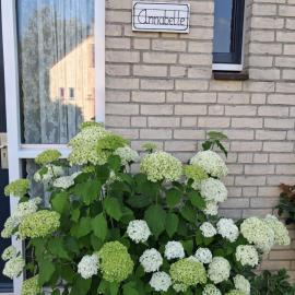 Heerlijke recreatiewoning op een geweldige plek