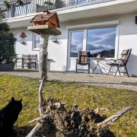 Haus Kiel Wohnung Mühlenberg