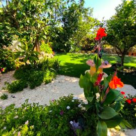 Nature Escape in Beautiful Miliou