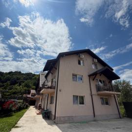Vila Mina, Hotel in Ocnele Mari