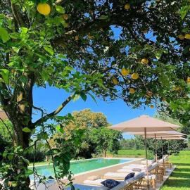 Terra Rosa Country House & Vineyards, khách sạn ở Ponte de Lima