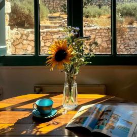 VH & Apilos house