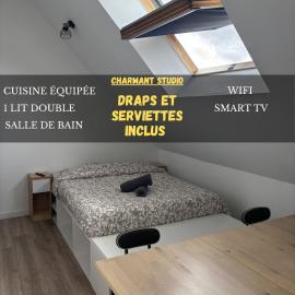 Charming independent studio Bruz parking, hotel em Bruz