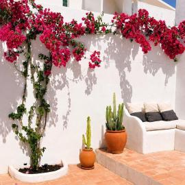 Casa Ana Charming 2BR Apartment in Central Olhão