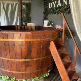 Vila DYANA baile felix cordau, hotell sihtkohas Cordău