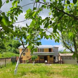 Rich Garden House