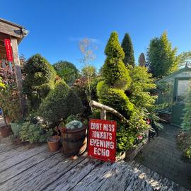Rubys Retreat Stylish Log Cabin-Hidden Garden, hotel in Niton