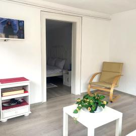 Level One Apartment - Central Busteni with BBQ