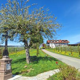 Apfelchalet Mirabell -Neubau Chalet, Natur, Alpenblick, Wallbox, Messe und See nah, Ruhe in ländlicher Umgebung, hotel u gradu Fridrihshafen