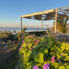 Viesnīca Il Giardino Nascosto pilsētā Nardo