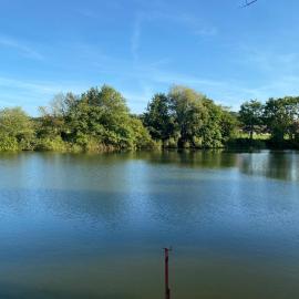 ÉTANG de PÊCHE des LADRES