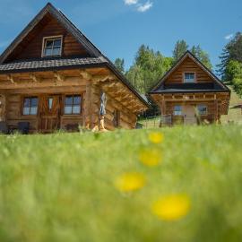 Domek na Górkach, Hotel in Krościenko nad Dunajcem