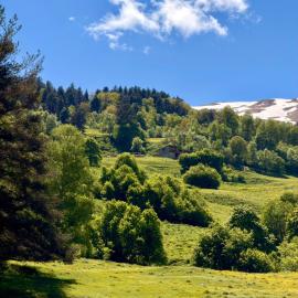 Vasos Home, hotell i Tusheti