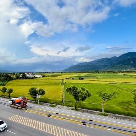 Green Home, hotel in Yuli