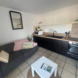 Apartment with mountain view, hotel a Espelette