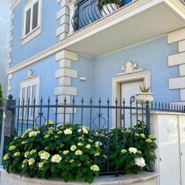 Blue House, ξενοδοχείο σε Martinsicuro