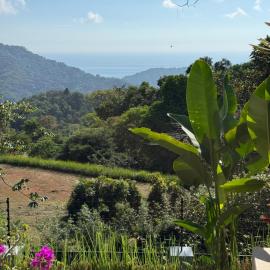 Platanillo में, होटल Villa Montemar