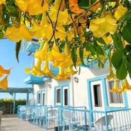 enjoy otel