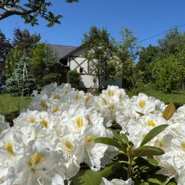 Karkonoski Widok