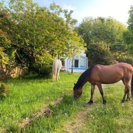 Glanleam's Gardener's Cottage