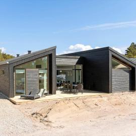 BV443-Blavand-Horns-Bjerge-39