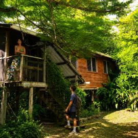 Unique Private Tree Top Cottage in Tropical Garden, Near San Ignacio Town