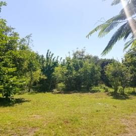 Nungwi Sannnka House