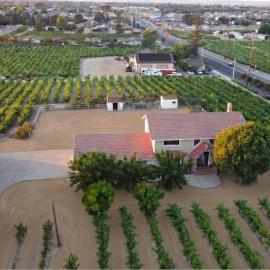 Vintage Vineyard Estate, Hotel in Oakley