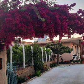 Guest House Luani
