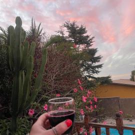 Estupenda y amplia casa con piscina y quincho, hotel sa Guanaquero