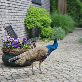 Hey Spreewald Ferienapartments, hotel sa Lübben