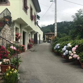 CASA EL CASTAÑÉU