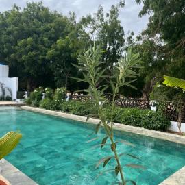 Villa Niofar - Golf, Spa & Piscine privée, Hotel in Saly Portudal