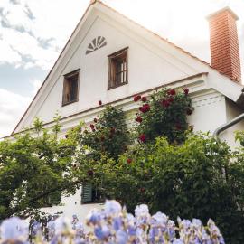 Villa Vulcania - Idyllisches Gästehaus mit Pool、Ilzのホテル