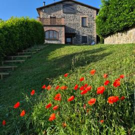 Villa Talleh