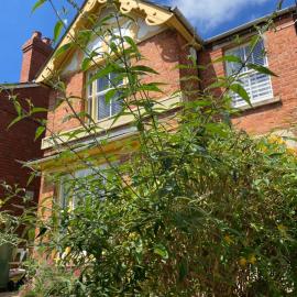 Glen Villa - 3 bedroom house - Stroud town centre, hotel in Stroud