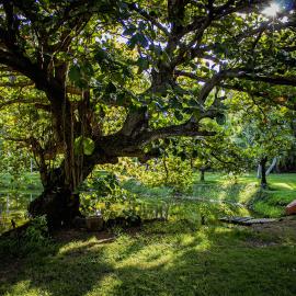 Tropical Garden Hideaway - Stonecutter, хотел в Порт Луи