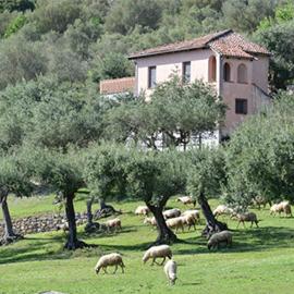 Villaggio rurale San Martino, hotel u gradu Sapri