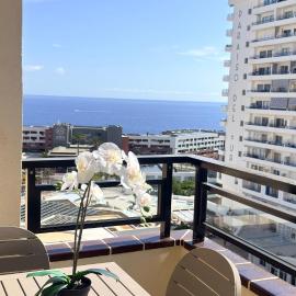 Cozy Ocean view 1 BDR APT, Club Paraiso, hotel in Playa Paraiso