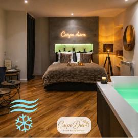 Le Carpe Diem - Détente & Bien-être - Balnéo, Sauna, CLIM, Terrasse, Parking privé, hotel en Dole