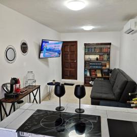 Loft of Red bricks & cactus terrace – hotel w mieście Progreso
