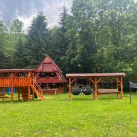 Cabana Paltini, hotel di Costeşti