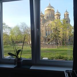 One bedroom Famous Cathedral, Quiet-Child friendly, Experienced Host