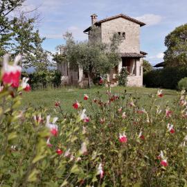 Podere Collicello, una finestra sull'Umbria!