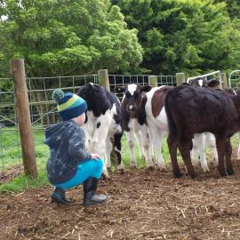 Manderley Park Farmstay B&B, hotel di Buln Buln
