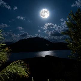 Elee Villa - Waterfront Retreat with Victoria Reservoir & Mountain Views, hotel en Teldeniya